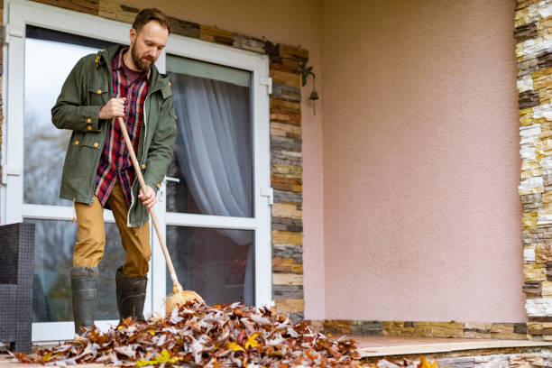 Best Same-Day Junk Removal  in Alb, IA